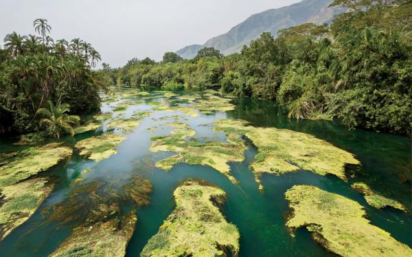 Le plus ancien parc naturel d'Afrique menacé d'exploitation pétrolière